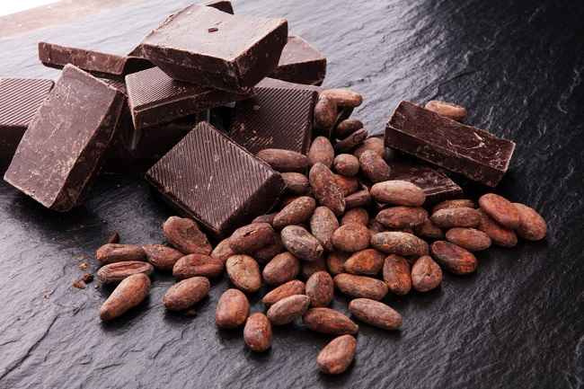 manfaat coklat